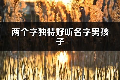 兩個字獨(dú)特好聽名字男孩子