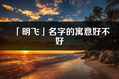 「明飛」名字的寓意好不好_明飛含義分析