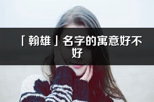 「翰雄」名字的寓意好不好_翰雄含義分析