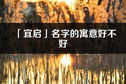 「宜啟」名字的寓意好不好_宜啟含義分析