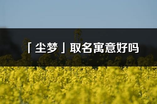 「塵夢」取名寓意好嗎_塵夢名字含義及寓意