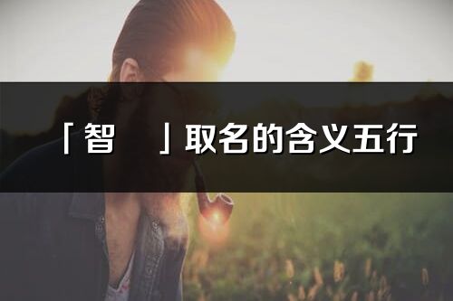 「智彧」取名的含義五行_智彧名字寓意解釋