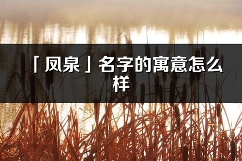 「鳳泉」名字的寓意怎么樣_鳳泉的出處