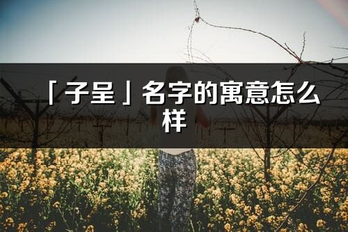 「子呈」名字的寓意怎么樣_子呈的出處