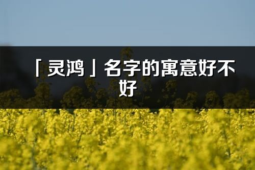 「靈鴻」名字的寓意好不好_靈鴻含義分析