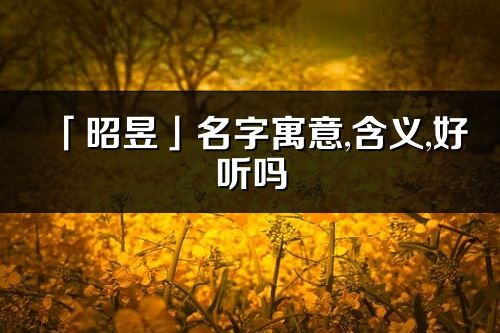 「昭昱」名字寓意,含義,好聽嗎_昭昱名字分析打分