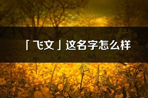 「飛文」這名字怎么樣_飛文的名字解釋