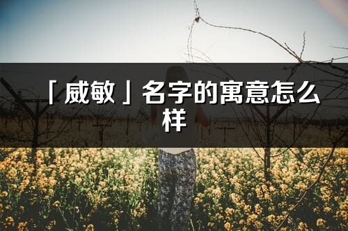 「威敏」名字的寓意怎么樣_威敏的出處