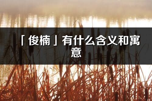 「俊楠」有什么含義和寓意_俊楠名字的出處與意思