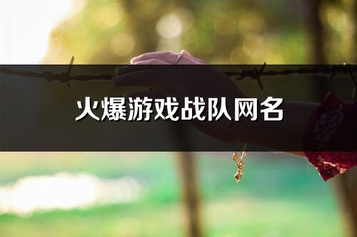 火爆游戲戰(zhàn)隊(duì)網(wǎng)名(159個)