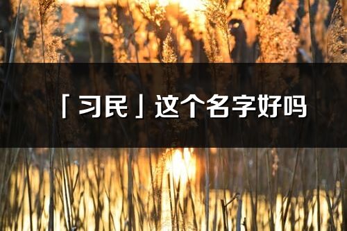 「習(xí)民」這個(gè)名字好嗎_習(xí)民名字寓意,含義