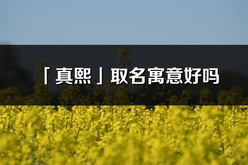 「真熙」取名寓意好嗎_真熙名字含義及寓意