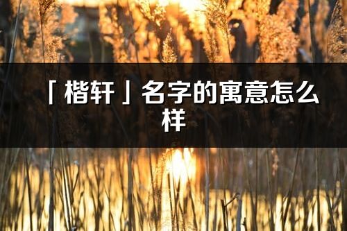 「楷軒」名字的寓意怎么樣_楷軒的出處