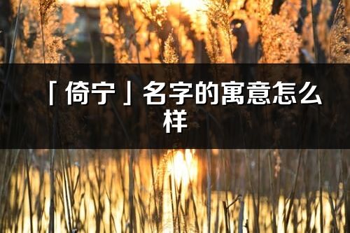 「倚寧」名字的寓意怎么樣_倚寧的出處