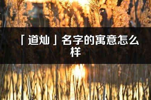 「道燦」名字的寓意怎么樣_道燦的出處