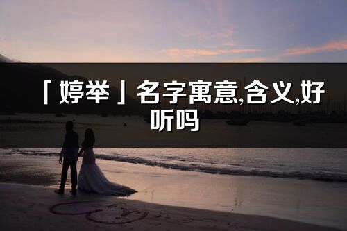 「婷舉」名字寓意,含義,好聽嗎_婷舉名字分析打分