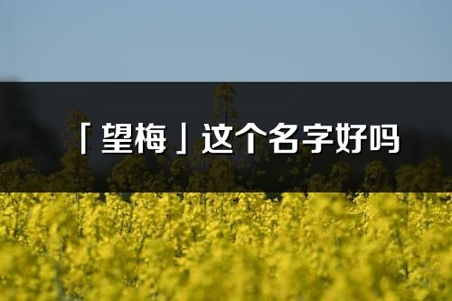 「望梅」這個名字好嗎_望梅名字寓意,含義