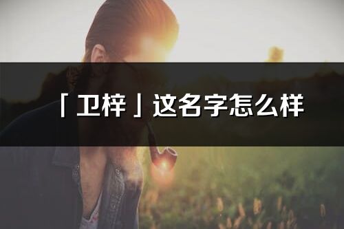 「衛(wèi)梓」這名字怎么樣_衛(wèi)梓的名字解釋