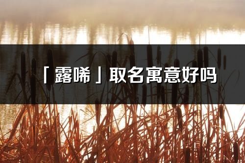 「露唏」取名寓意好嗎_露唏名字含義及五行