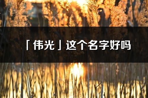 「?jìng)ス狻惯@個(gè)名字好嗎_偉光名字寓意,含義