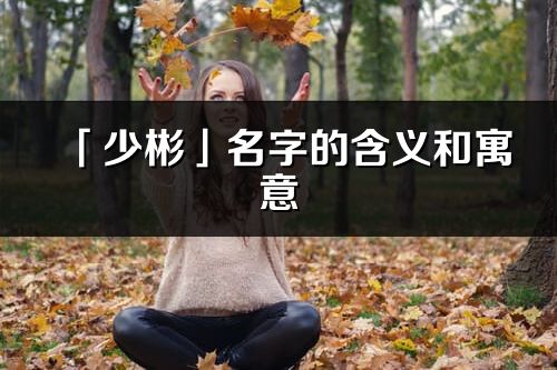 「少彬」名字的含義和寓意_少彬的出處與意思解釋