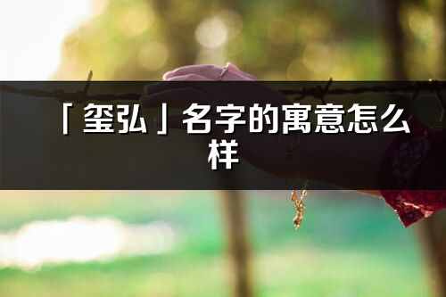 「璽弘」名字的寓意怎么樣_璽弘的出處