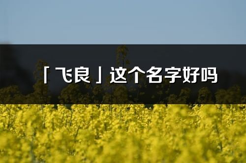 「飛良」這個名字好嗎_飛良名字寓意,含義