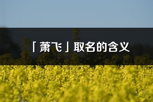 「蕭飛」取名的含義_蕭飛名字寓意解釋