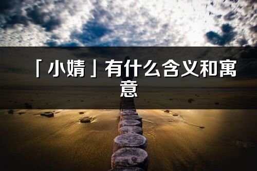 「小婧」有什么含義和寓意_小婧名字的出處與意思