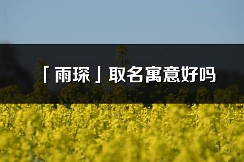 「雨琛」取名寓意好嗎_雨琛名字含義及五行