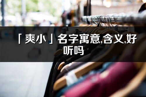 「爽小」名字寓意,含義,好聽嗎_爽小名字分析打分