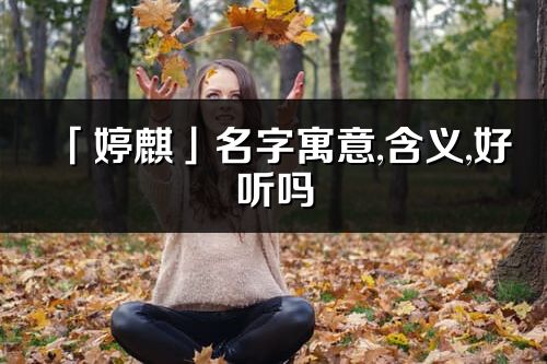 「婷麒」名字寓意,含義,好聽嗎_婷麒名字分析打分