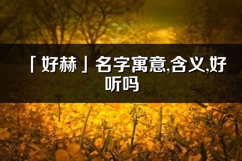 「好赫」名字寓意,含義,好聽嗎_好赫名字分析打分