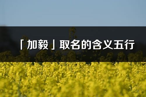 「加毅」取名的含義五行_加毅名字寓意解釋