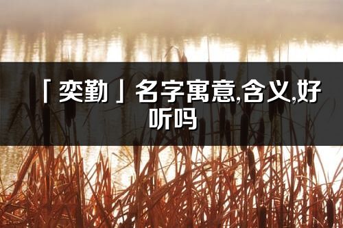 「奕勤」名字寓意,含義,好聽嗎_奕勤名字分析打分