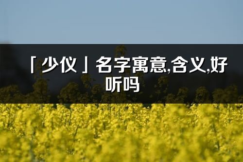 「少儀」名字寓意,含義,好聽嗎_少儀名字分析打分