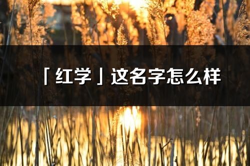 「紅學」這名字怎么樣_紅學的名字解釋