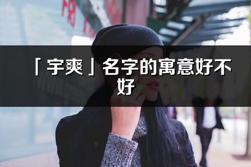 「宇爽」名字的寓意好不好_宇爽含義分析