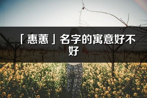 「惠蕙」名字的寓意好不好_惠蕙含義分析