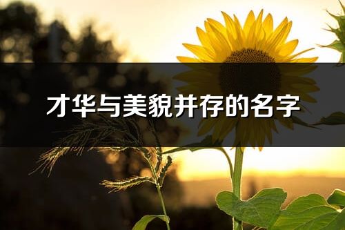 才華與美貌并存的名字