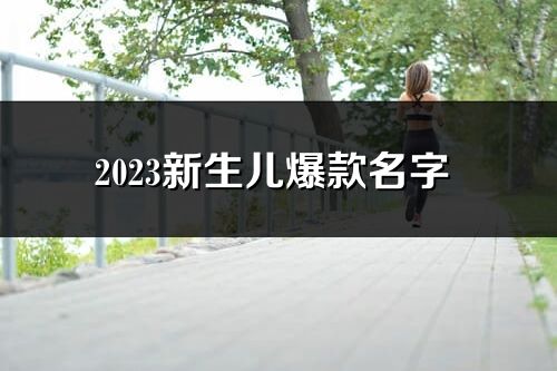 2023新生兒爆款名字 