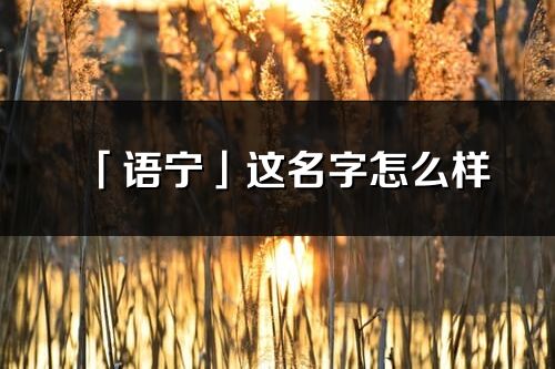 「語寧」這名字怎么樣_語寧的名字解釋