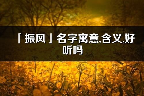 「振風」名字寓意,含義,好聽嗎_振風名字分析打分