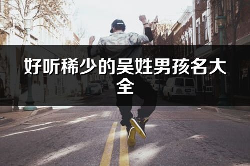 好聽稀少的吳姓男孩名大全