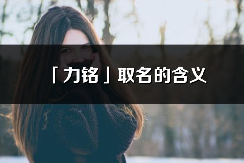 「力銘」取名的含義_力銘名字寓意