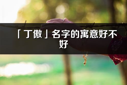 「丁傲」名字的寓意好不好_丁傲含義分析