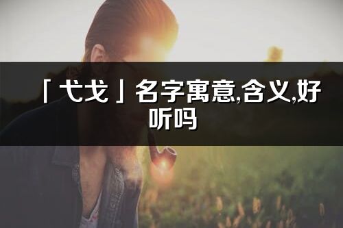 「弋戈」名字寓意,含義,好聽嗎_弋戈名字分析打分