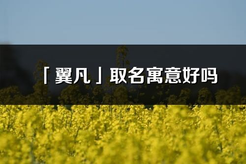 「翼凡」取名寓意好嗎_翼凡名字含義及五行