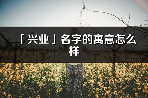 「興業」名字的寓意怎么樣_興業的出處