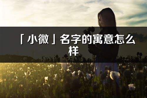 「小微」名字的寓意怎么樣_小微的出處